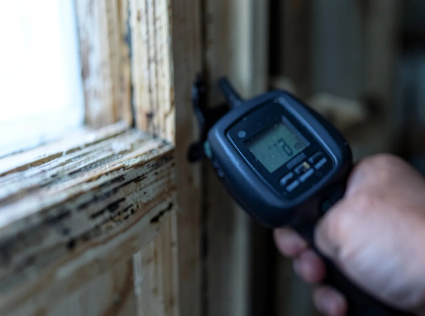 Moisture Inspection And Documentation in Clemson, SC